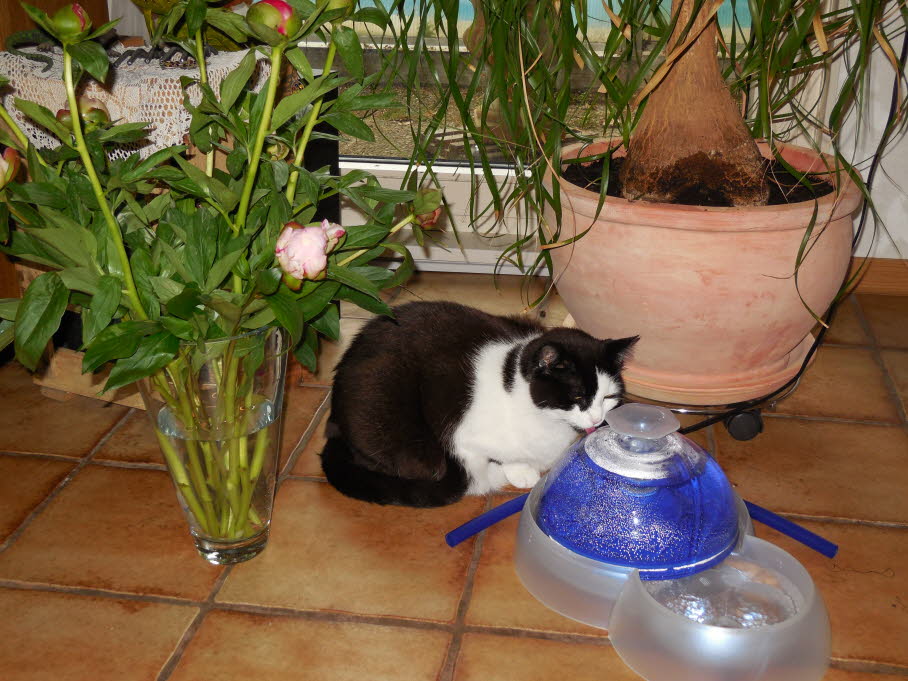 Rike am Wasserautomat  17.5.2013